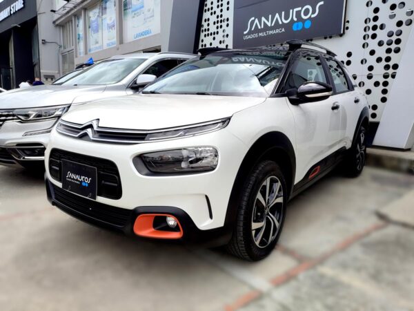 C4 CACTUS SHINE AT - Image 7