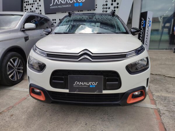 C4 CACTUS SHINE AT - Image 4