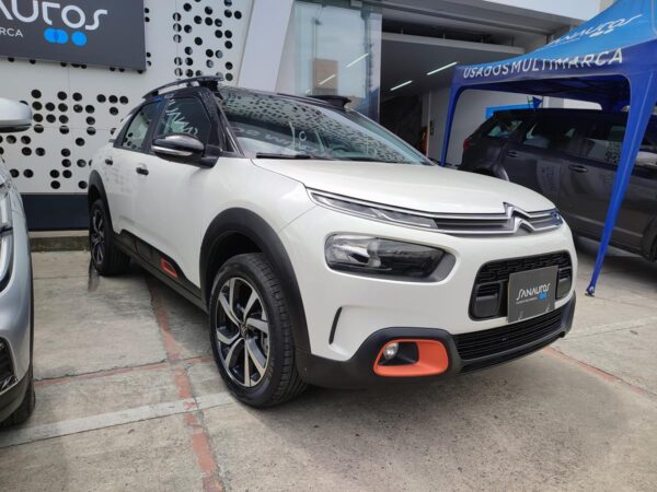 C4 CACTUS SHINE AT - Image 6