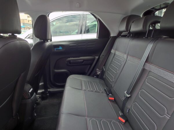 C4 CACTUS SHINE AT - Image 11
