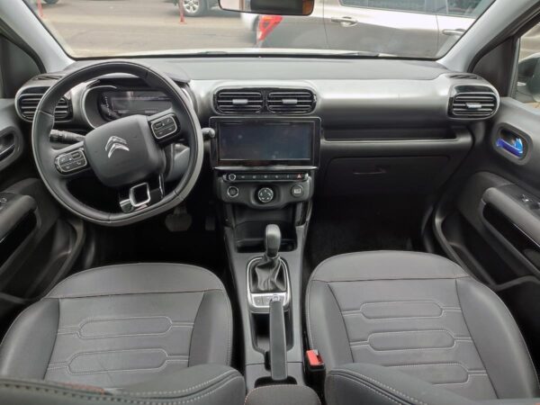 C4 CACTUS SHINE AT - Image 12