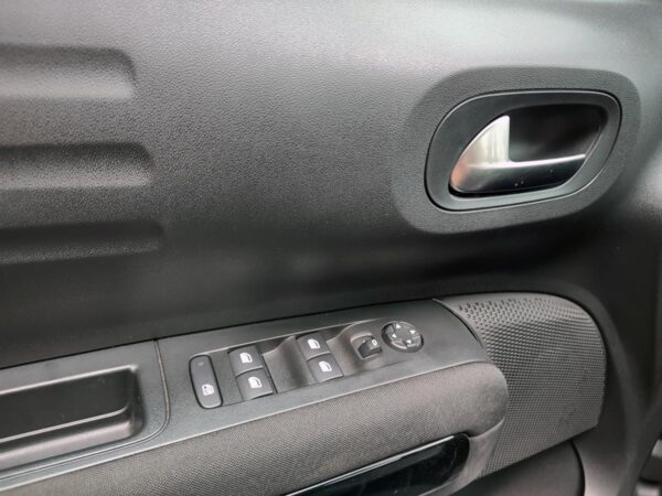 C4 CACTUS SHINE AT - Image 14