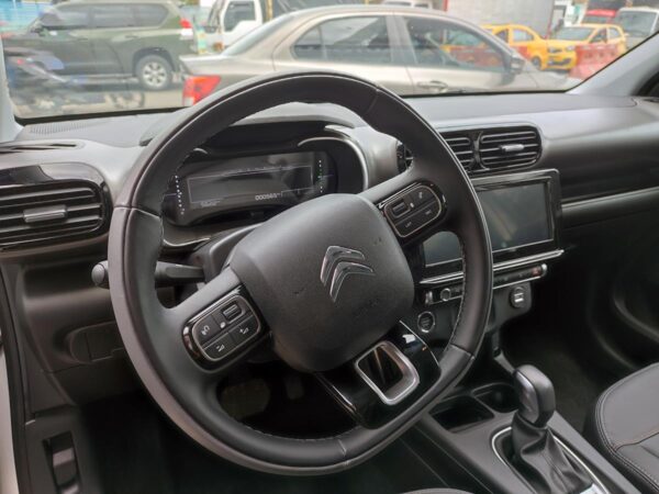 C4 CACTUS SHINE AT - Image 15