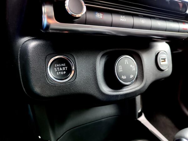 C4 CACTUS SHINE AT - Image 16