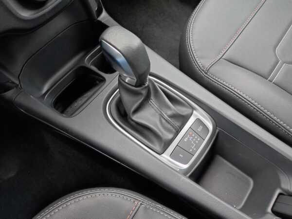 C4 CACTUS SHINE AT - Image 17