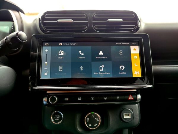 C4 CACTUS SHINE AT - Image 18