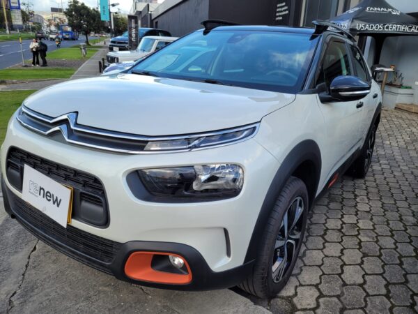 C4 CACTUS SHINE AT - Image 2