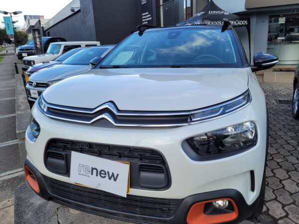 C4 CACTUS SHINE AT - Image 3