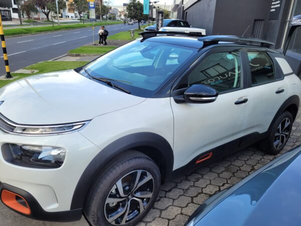 C4 CACTUS SHINE AT - Image 5