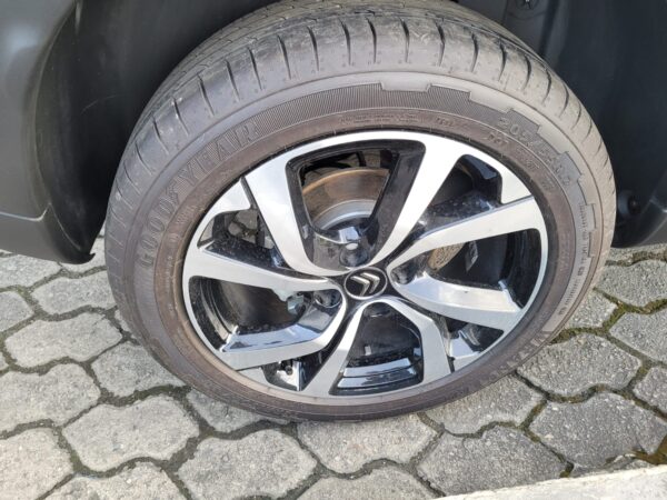 C4 CACTUS SHINE AT - Image 20