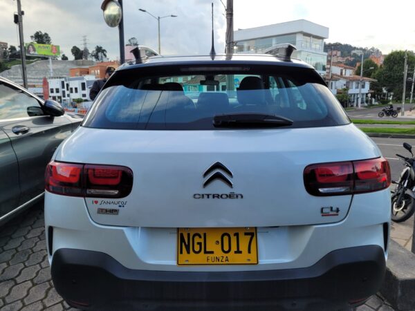 C4 CACTUS SHINE AT - Image 9
