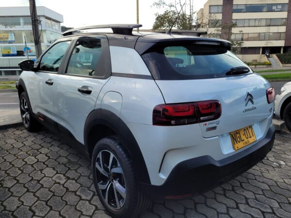 C4 CACTUS SHINE AT - Image 10