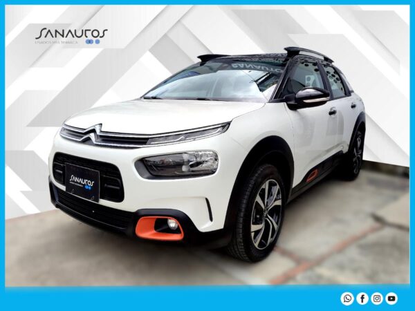 C4 CACTUS SHINE AT